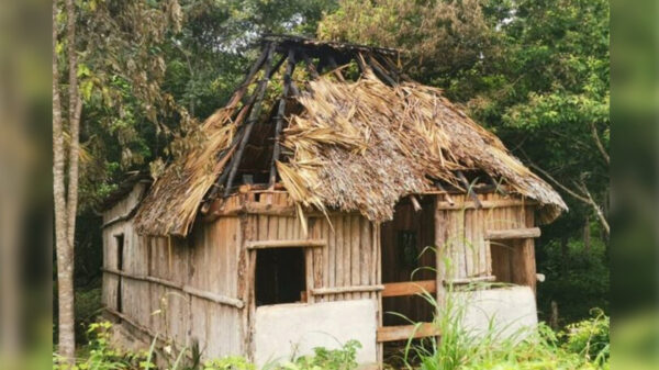 Pirómano incendia tres humildes palapas en JMM