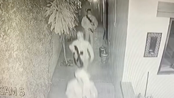 Video: Denuncian secuestro de niño por grupo armado en Mérida