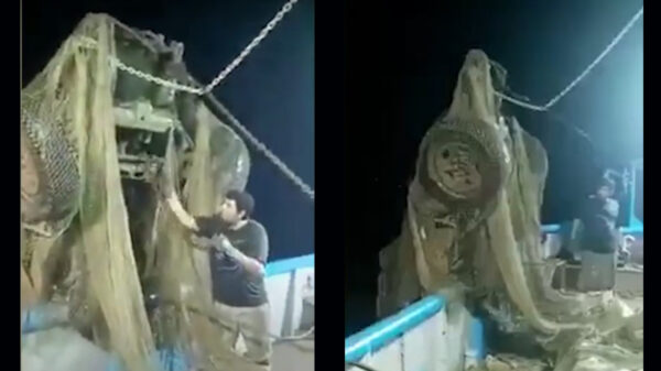 Barco camaronero saca vehículo del mar en Mazatlán