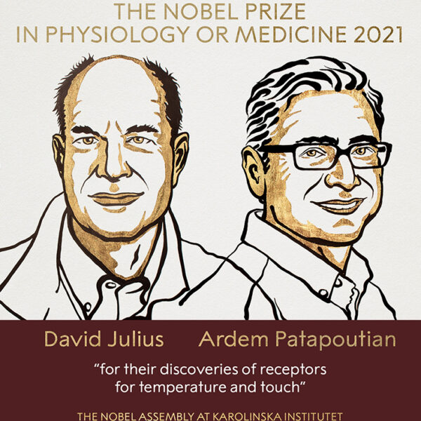 Otorgan Premio Nobel de Medicina a descubridores de receptores de temperatura y tacto