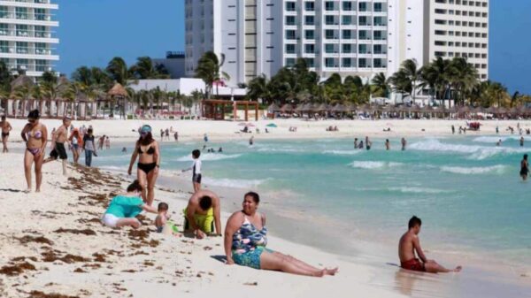 Playas de Cancún con niveles de sargazo moderado.