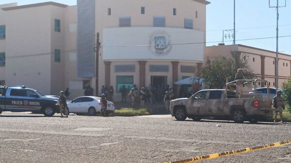 Pierde custodia de sus hijos, mata al abogado y luego se suicida