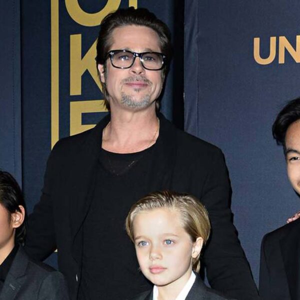 Brad Pitt pierde la oportunidad de recuperar la custodia de sus hijos