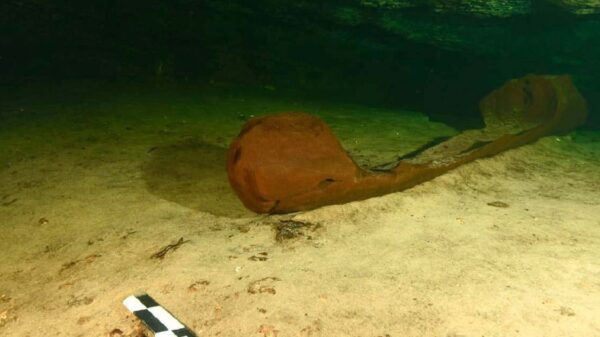 Descubren canoa prehispánica en donde construyen Tren Maya
