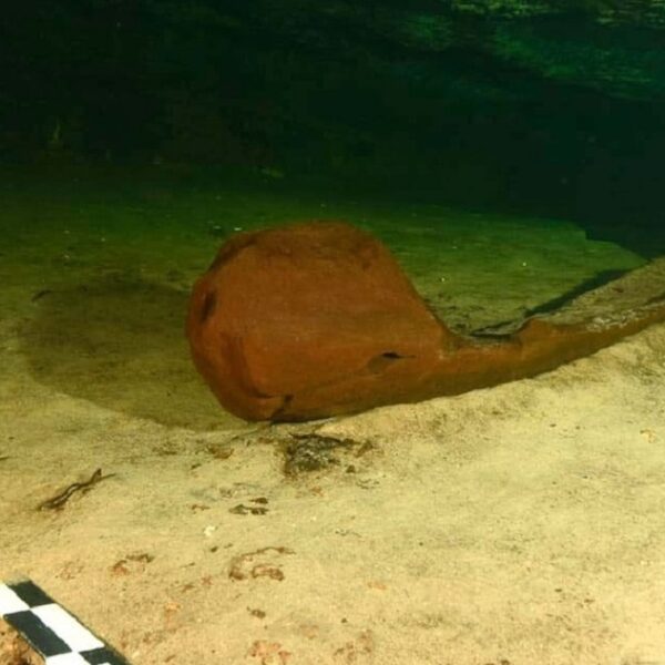 Descubren canoa prehispánica en donde construyen Tren Maya