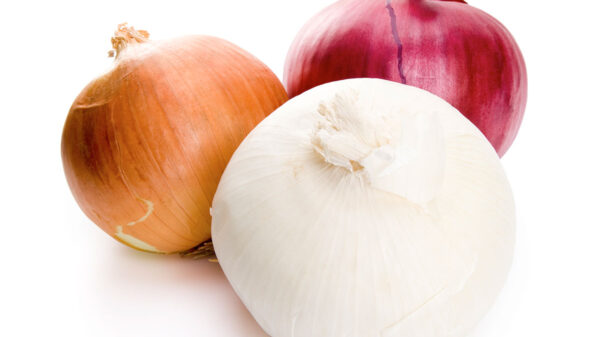 Alertan por brote de salmonelosis; lo relacionan con consumo de la cebolla