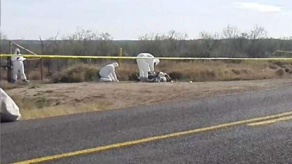 Localiza la Guardia Nacional 5 ejecutados y 2 heridos en carretera de Sonora