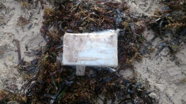 Arroja mar de Tulum paquete de droga