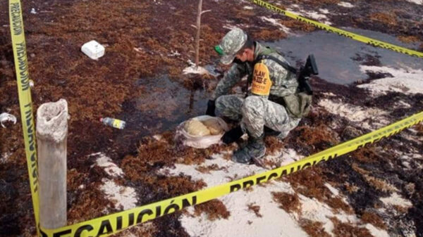 Asegura el Ejército Mexicano recale de droga en Cozumel