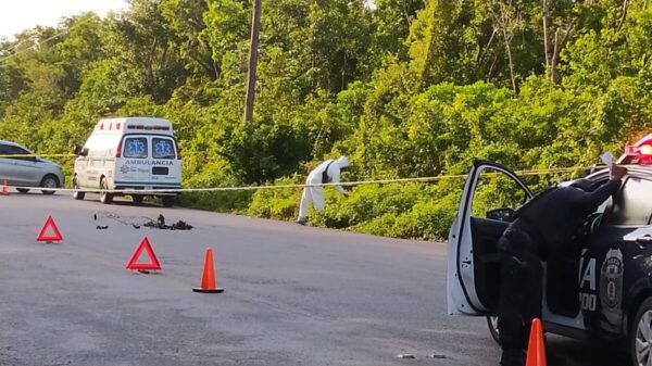 Descubren un ejecutado sobre la carretera transversal de Cozumel