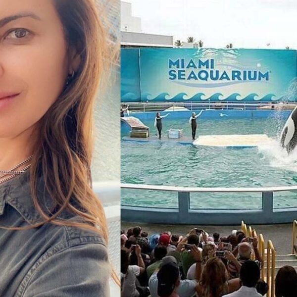 Kate del Castillo pide que liberen a la orca 'Lolita' que tiene 50 años de cautiverio