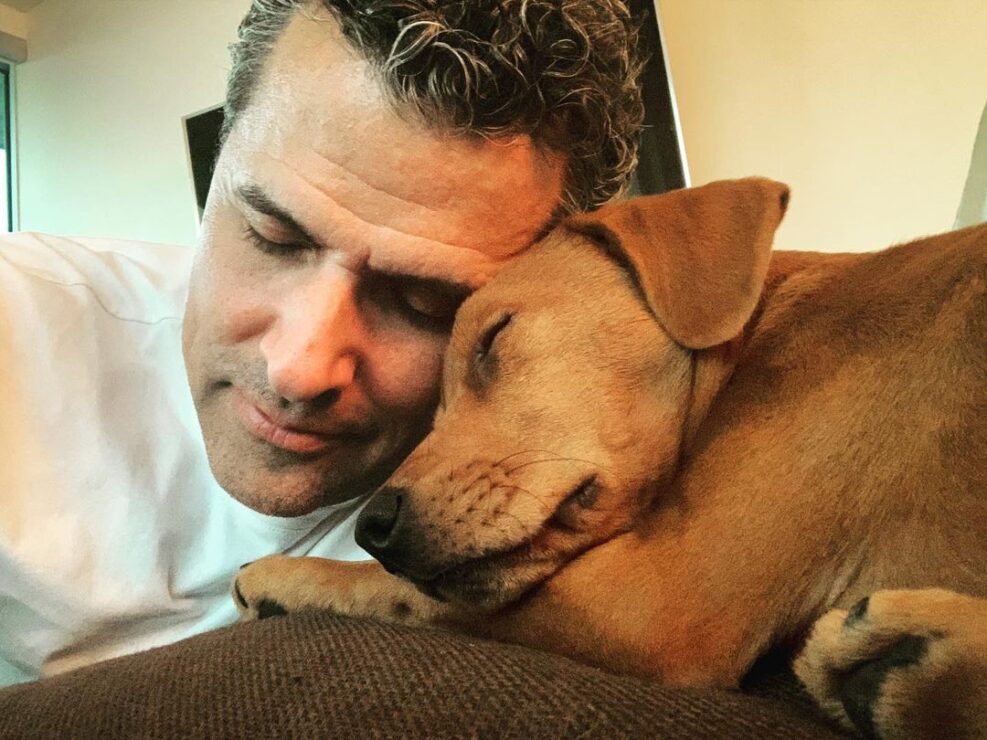 Marco Antonio Regil apoyará la Ley General de Bienestar Animal pese a la criticas de Arturo Islas