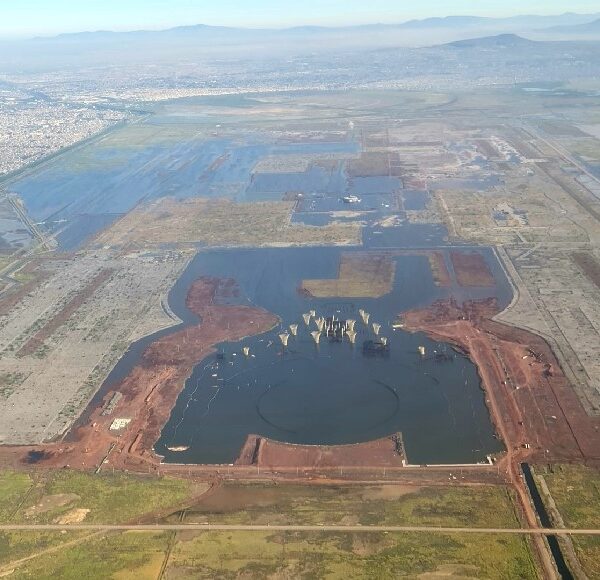 “La naturaleza retoma su lugar”, dice Meyer Falcón tras emitir foto del NAIM