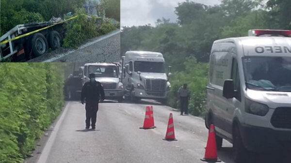 Conductor de Tsuru muere prensado y aplastado por bultos de cemento tras choque