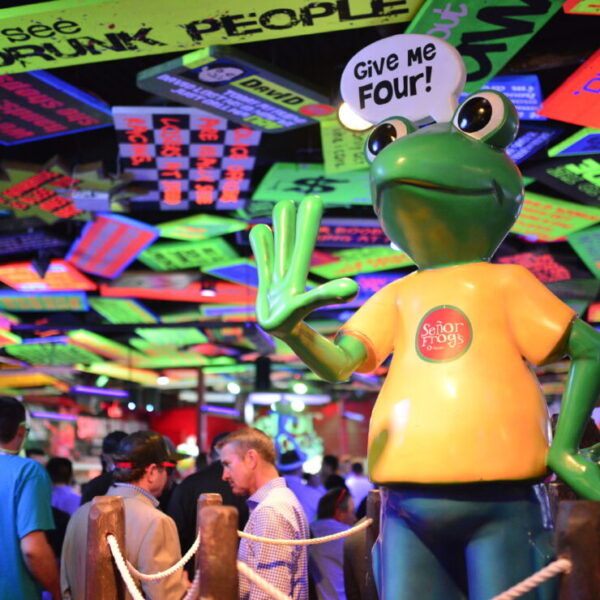 Señor Frog’s es premiado por su excelente servicio.