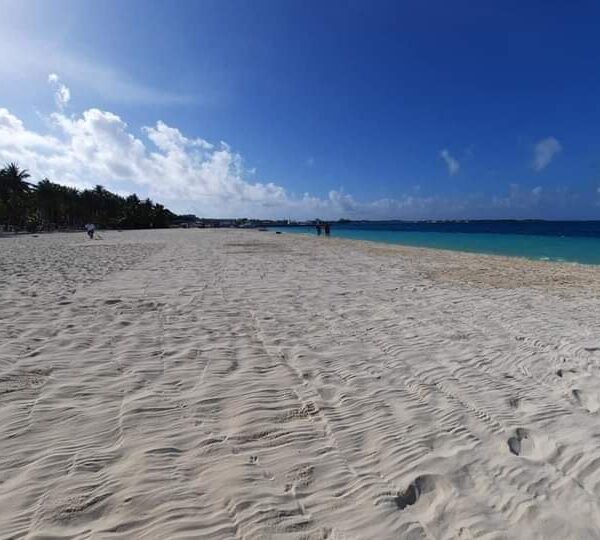 Busca actual administración de Isla Mujeres recuperar banderas azules en playas.