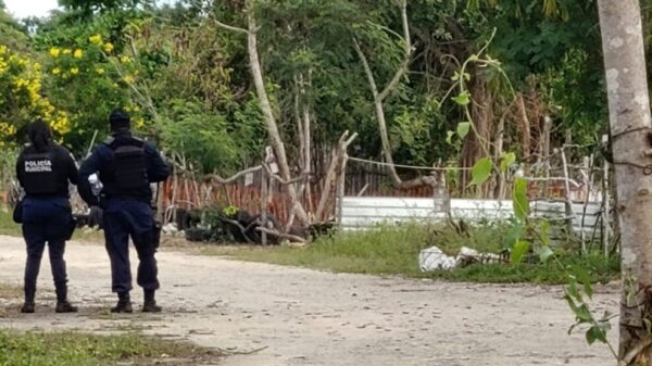 Cancún: Hallan cuerpo de un hombre envuelto en una lona en la colonia 4 Hermanos (VIDEO).