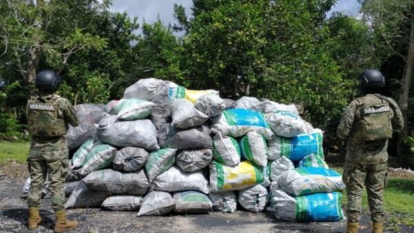 Decomisa la Marina 41 toneladas de carbón vegetal y maderas preciosas.