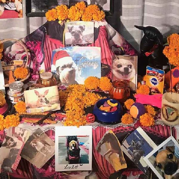 Días para recordar a nuestros Muertos... ¿y mascotas?