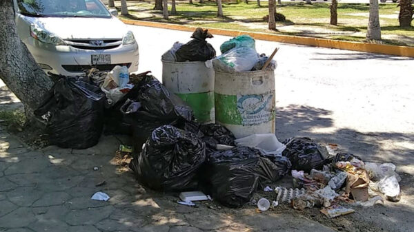 Basura se acumula en calles de Puerto Morelos
