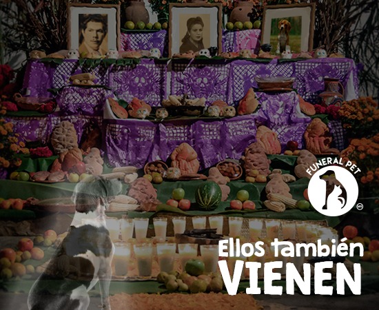 Días para recordar a nuestros Muertos... ¿y mascotas?