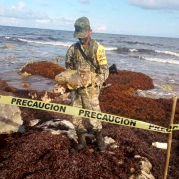 Sigue recalando droga en playas de Cozumel