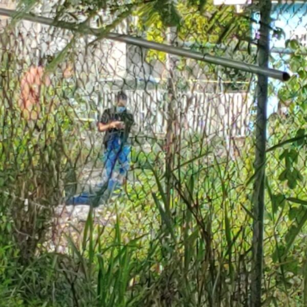 Cancún: Hallan a un sujeto ejecutado a balazos en la Región 247.