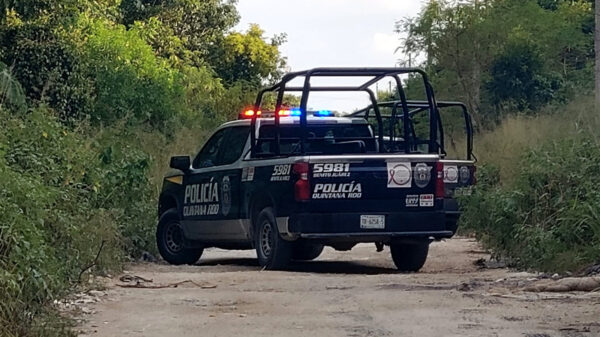 Cancún: Pepenador encuentra cadáver de ejecutado en SM 255