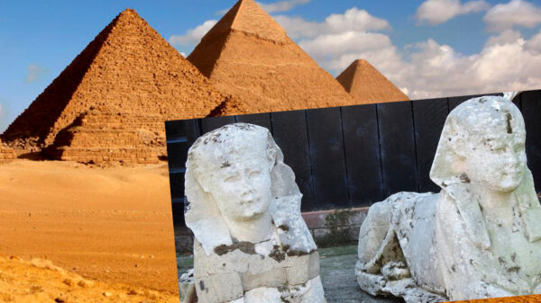 Video: Tenían dos esfinges egipcias auténticas en sus cacharros y no lo sabían