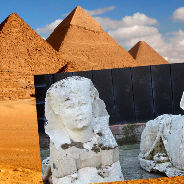 Video: Tenían dos esfinges egipcias auténticas en sus cacharros y no lo sabían