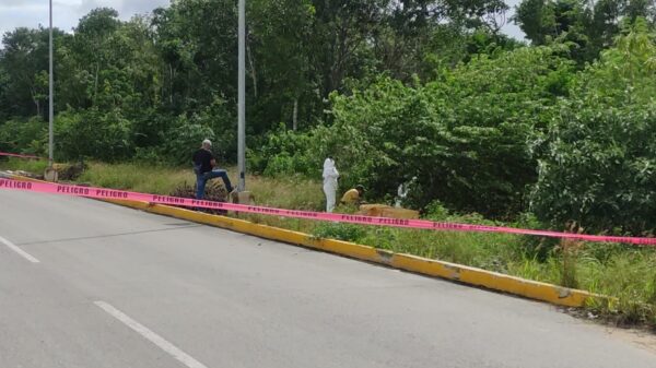 Playa del Carmen: Descubren cadáver dentro un refrigerador.