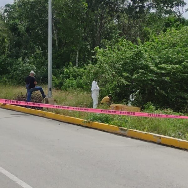 Playa del Carmen: Descubren cadáver dentro un refrigerador.