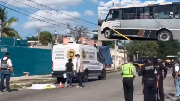 Abuelito muere al ser arrollado por un camión; aseguran que él se aventó