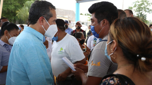 Para fortalecer la reactivación económica del campo, se sembrarán seis mil hectáreas de frijol en los municipios de Bacalar y Othón P. Blanco