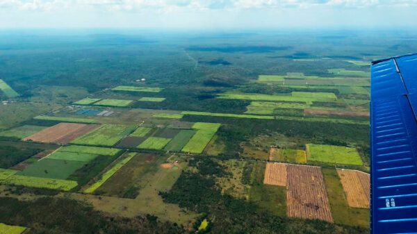 Quintana Roo promueve el desarrollo sustentable y las bajas emisiones de carbono