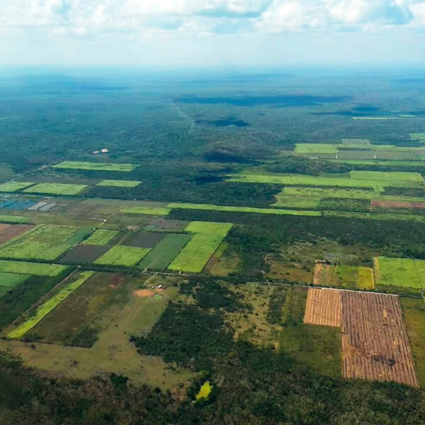 Quintana Roo promueve el desarrollo sustentable y las bajas emisiones de carbono