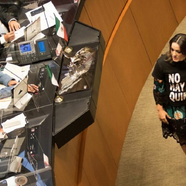 Se resquebraja el PAN; renuncia a militancia senadora Cecilia Márquez