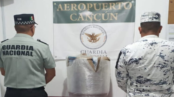 Binomios caninos detectan droga en el aeropuerto de Cancún.