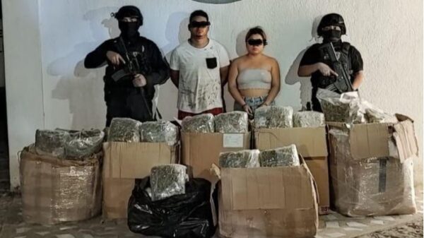 Detienen a pareja con 65 kilos de marihuana en Playa del Carmen.