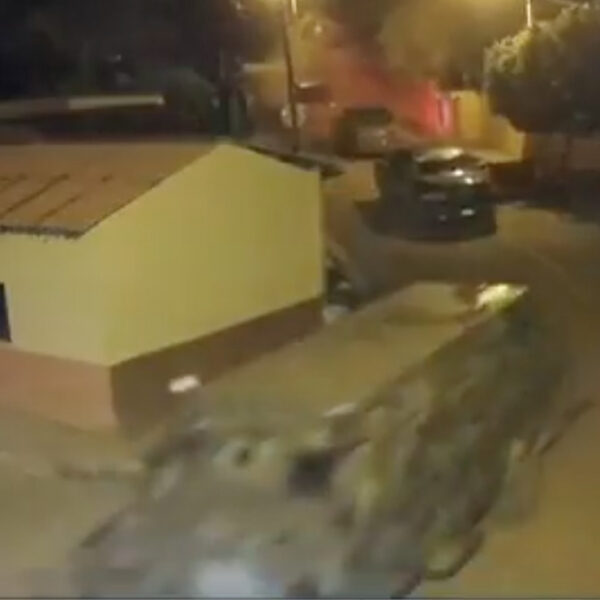 Video: Graban "desfile" del CJNG en Michoacán, a días del 20 de noviembre