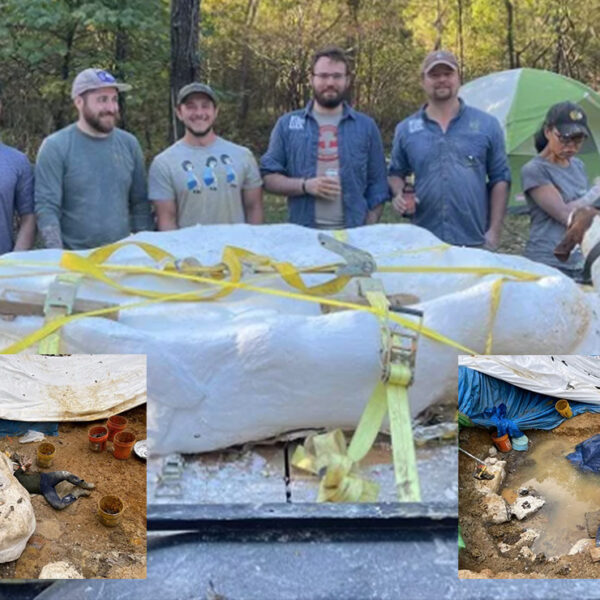 Científicos descubren fósil de nuevo dinosaurio en USA