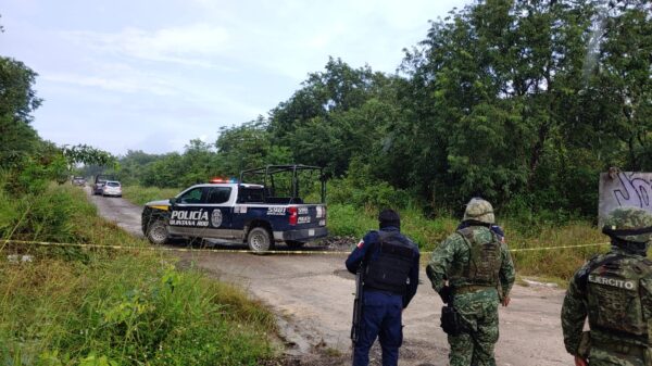 Descubren a un ejecutado entre la maleza en la SM 206 de Cancún