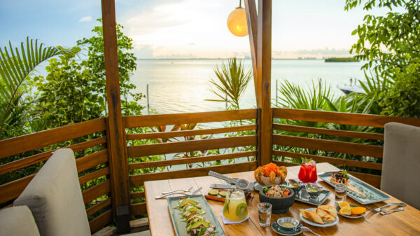 Celebra con Fred’s estas fechas tan mágicas