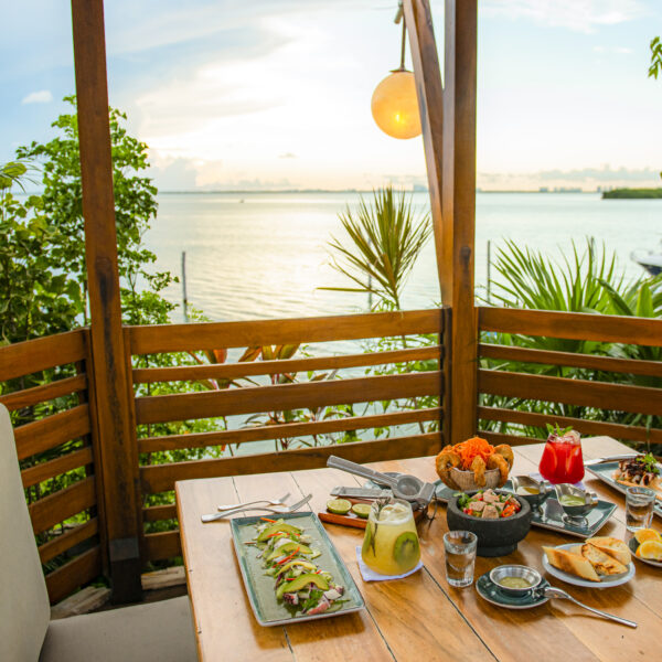 Celebra con Fred’s estas fechas tan mágicas