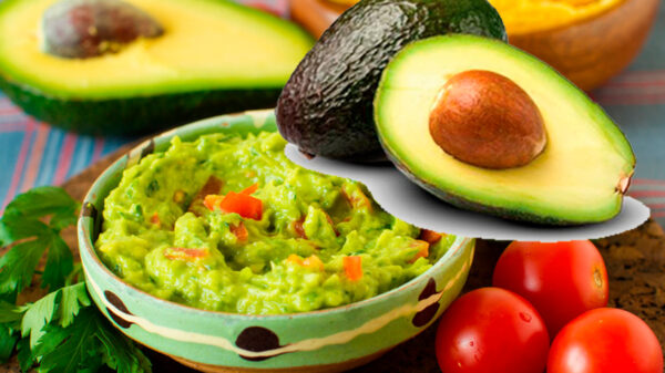 Llegó el fin del aguacate?..entérate porque