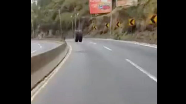 Neumáticos ruedan sin control por varios metros sobre la carretera