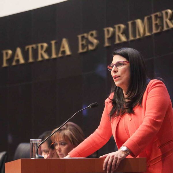 Propone diputada del PRI prisión preventiva a manifestantes