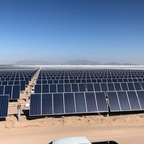 Impulsan energía limpia en el noroeste; crean parque solar en Durango