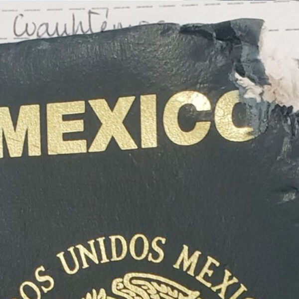 ‘Mi perrita se comió mi pasaporte’: declara sujeto ante la SRE