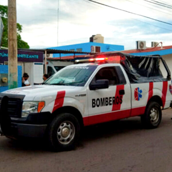 Ataca perro pitbull a niña en Jose María Morelos